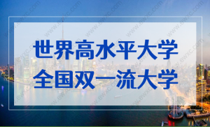 16668493433081666849343308插图