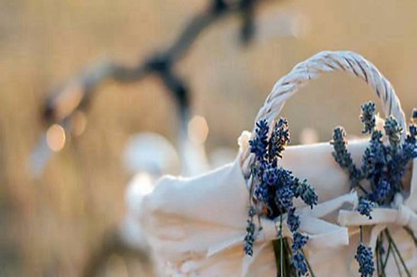 专升本需要考些什么科目 多少分被录取插图