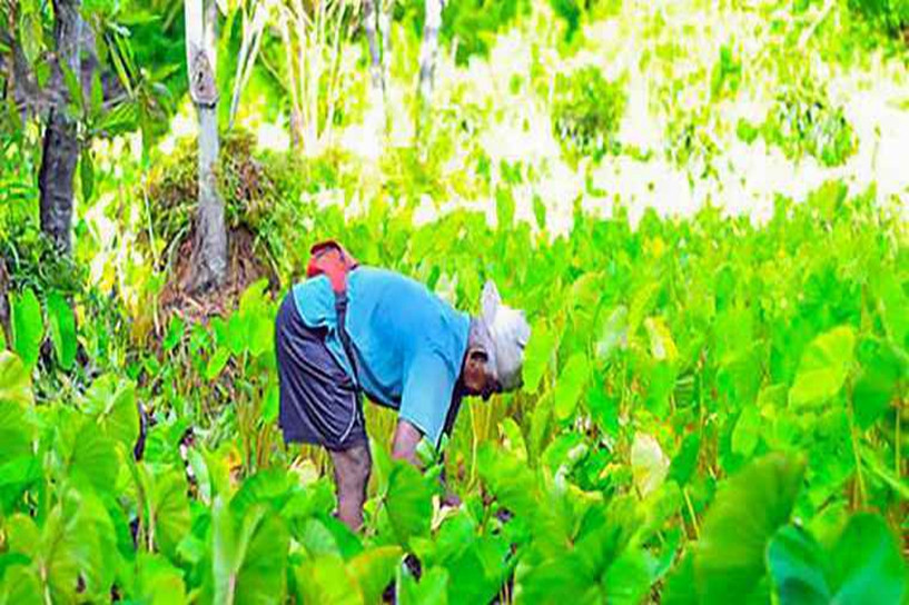 专升本需要考些什么科目 有哪几门课程插图