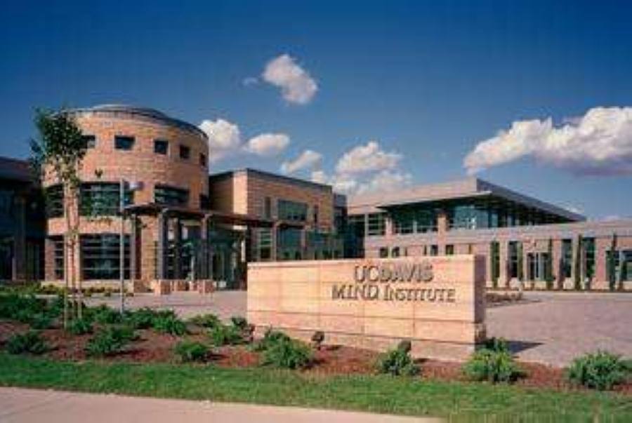 捷报!又是一场Offer雨,南宁二中国际部2017届学子收获267封录世界名校取通知书!插图5 捷报!又是一场Offer雨,南宁二中国际部2017届学子收获267封录世界名校取通知书!插图5