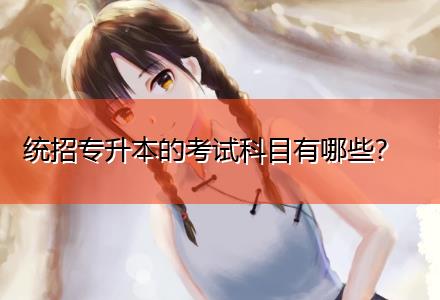 统招专升本的考试科目有哪些？插图1