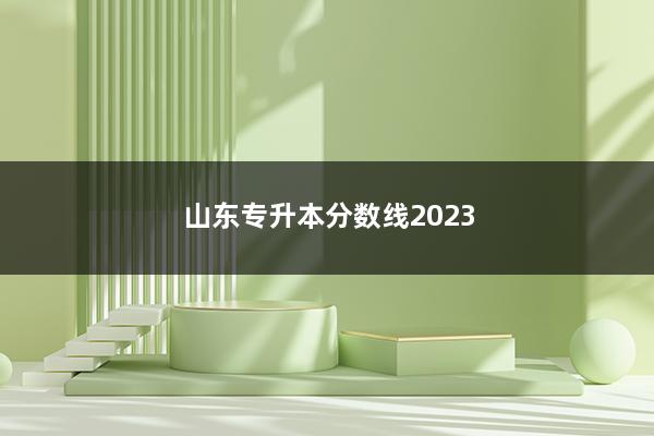 山东专升本分数线2023插图