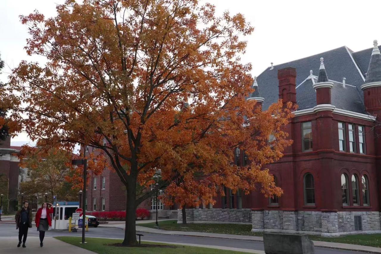 最受留学生欢迎的美国大学TOP20,纽大7年蝉联榜首!插图 最受留学生欢迎的美国大学TOP20,纽大7年蝉联榜首!插图