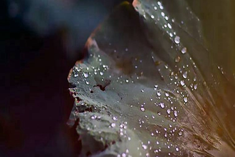 2022年专升本什么时候可以报名考试插图