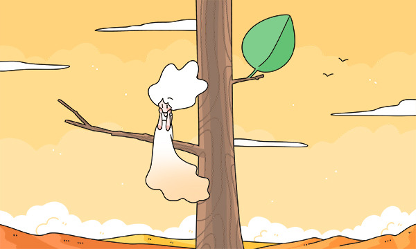 专升本是大三报名吗 什么时候考试准备比较好插图