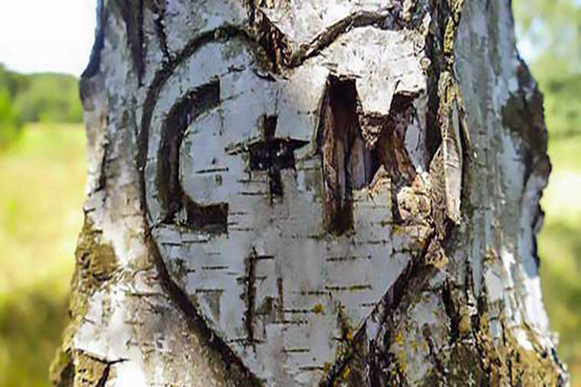 2023年统招专升本多少分可以上本科插图