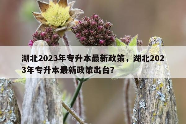 / 湖北2023年专升本最新政策，湖北2023年专升本报名和考试时间！插图