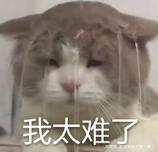 从只用Excel做报表,到可视化报表工具真香,他经历了什么插图1 从只用Excel做报表,到可视化报表工具真香,他经历了什么插图1