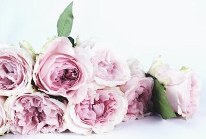 专升本后第一学历是专科还是本科报名需要什么条件插图