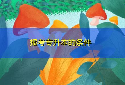 报考专升本的条件-报考专升本的条件是什么插图