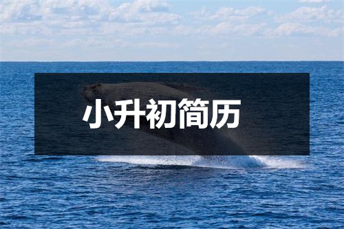 关于小升初简历八篇插图 关于小升初简历八篇插图