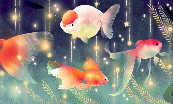 2022全国教育类专业大专院校排名 最好的十大专科学校插图