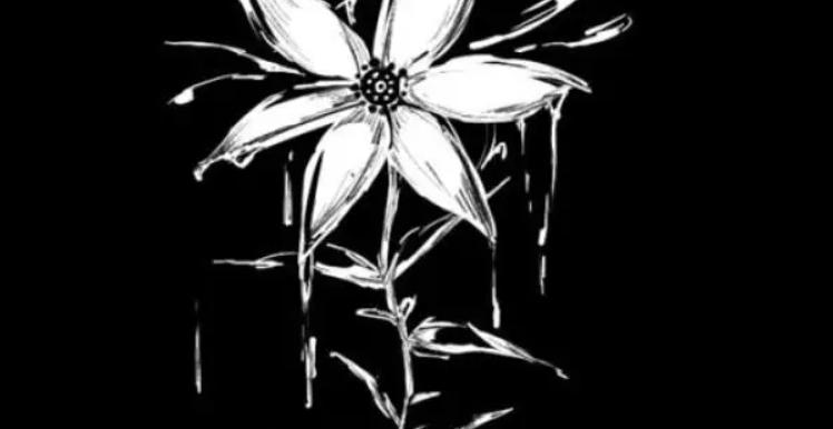 中国大学排名2018，2018中国大学排行榜插图1