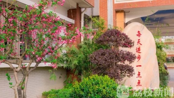 南京小学陆续家访部分学校生源暴增插图2