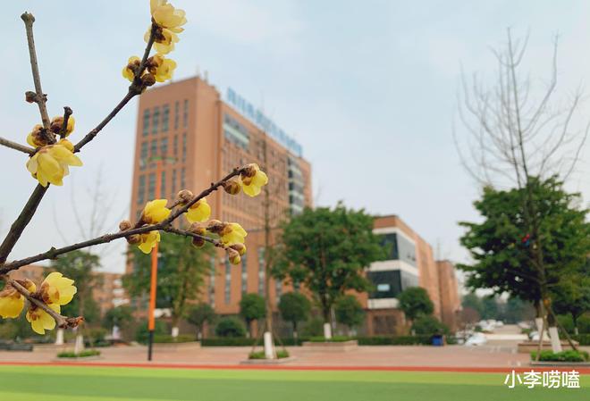 一所来自四川的大学，招生遇冷，缺额1866人，23个专业没招满！插图2