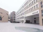 艺术高校招办专访插图