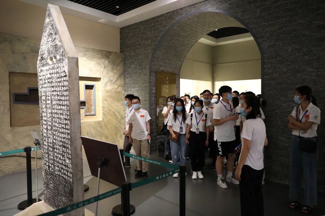 高校社会实践启动仪式暨联盟与高校恳谈会在武清召开插图3