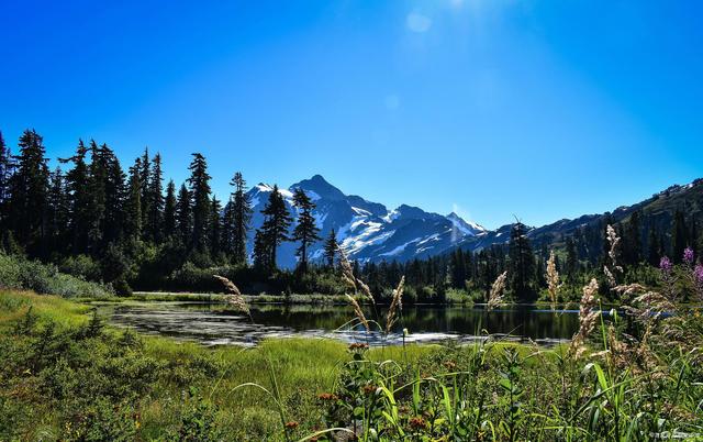 公职人员和公务员有什么区别？插图