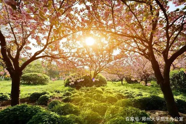 突破!近日,河南这所“双一流”高校最新科研成果登上国际顶尖期刊!插图2 突破!近日,河南这所“双一流”高校最新科研成果登上国际顶尖期刊!插图2